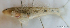  ( - 1750_015)  @11 [ ] CreativeCommons Attribution ShareAlike (2022) Institut Halieutique et des Sciences Marines Institut Halieutique et des Sciences Marines