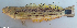  ( - 1844_003)  @11 [ ] CreativeCommons Attribution ShareAlike (2023) Institut Halieutique et des Sciences Marines Institut Halieutique et des Sciences Marines