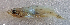  ( - 2131_019)  @11 [ ] CreativeCommons Attribution ShareAlike (2023) Institut Halieutique et des Sciences Marines Institut Halieutique et des Sciences Marines