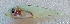  ( - 2187_022)  @11 [ ] CreativeCommons Attribution ShareAlike (2022) Institut Halieutique et des Sciences Marines Institut Halieutique et des Sciences Marines