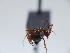  ( - NEIVG1001_wo50)  @11 [ ] CreativeCommons  Attribution Non-Commercial Share-Alike (2023) Christoph von Beeren TU Darmstadt