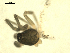  ( - CCDB-04287-F05)  @12 [ ] CreativeCommons - Attribution (2009) Gergin Blagoev, Centre for Biodiversity Genomics Centre for Biodiversity Genomics