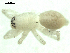  ( - CCDB-04287-G02)  @12 [ ] CreativeCommons - Attribution (2009) Gergin Blagoev, Centre for Biodiversity Genomics Centre for Biodiversity Genomics