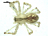  ( - CCDB-04289-A06)  @13 [ ] CreativeCommons - Attribution (2009) Gergin Blagoev, Centre for Biodiversity Genomics Centre for Biodiversity Genomics