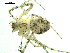  ( - CCDB-04289-A12)  @13 [ ] CreativeCommons - Attribution (2009) Gergin Blagoev, Centre for Biodiversity Genomics Centre for Biodiversity Genomics