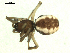  ( - CCDB-04289-C09)  @12 [ ] CreativeCommons - Attribution (2009) Gergin Blagoev, Centre for Biodiversity Genomics Centre for Biodiversity Genomics