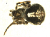  ( - CCDB-04359-F10)  @12 [ ] CC-0 (2009) G.A.Blagoev Unspecified