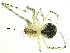  ( - CCDB-04359-G09)  @12 [ ] CC-0 (2009) G.A.Blagoev Unspecified