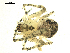  ( - CCDB-04359-G10)  @13 [ ] CC-0 (2009) G.A.Blagoev Unspecified