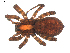  ( - BIOUG00521-H05)  @13 [ ] CC-0  G. Blagoev 2010 Unspecified