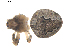  ( - BIOUG00613-E07)  @12 [ ] CC-0  G. Blagoev 2010 Unspecified