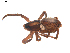  ( - BIOUG00613-H08)  @12 [ ] CC-0  G. Blagoev 2010 Unspecified