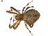  ( - BIOUG00614-E05)  @13 [ ] CC-0  G. Blagoev 2010 Unspecified