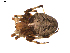  ( - BIOUG00614-E06)  @13 [ ] CC-0  G. Blagoev 2010 Unspecified