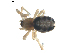  ( - BIOUG00623-A08)  @13 [ ] CC-0  G. Blagoev 2010 Unspecified