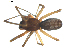  ( - BIOUG00623-A11)  @12 [ ] CC-0  G. Blagoev 2010 Unspecified