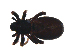  ( - BIOUG09848-G04)  @12 [ ] CreativeCommons - Attribution (2014) G. Blagoev Centre for Biodiversity Genomics