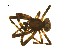  ( - BIOUG12603-D04)  @13 [ ] CreativeCommons - Attribution (2014) G. Blagoev Centre for Biodiversity Genomics