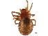  ( - BIOUG27609-G01)  @11 [ ] CreativeCommons - Attribution (2017) CBG Photography Group Centre for Biodiversity Genomics