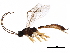 ( - BIOUG27609-H11)  @13 [ ] CreativeCommons - Attribution (2017) CBG Photography Group Centre for Biodiversity Genomics