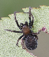  ( - BIOUG38890-C03)  @11 [ ] CC-0 (2019) Unspecified Unspecified
