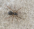  ( - BIOUG59302-D03)  @11 [ ] CC0 (2024) Unspecified Unspecified
