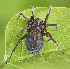  ( - BIOUG39666-G01)  @11 [ ] CC-0 (2019) Unspecified Unspecified