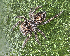  ( - BIOUG46673-E10)  @11 [ ] CreativeCommons - Attribution Share-Alike (2024) Unspecified Centre for Biodiversity Genomics
