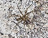  ( - BIOUG39666-G02)  @11 [ ] CC0 (2021) Unspecified Unspecified