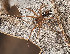  ( - BIOUG73611-E10)  @11 [ ] CC0 (2023) Unspecified Unspecified