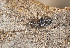  ( - BIOUG73611-A07)  @11 [ ] CC0 (2023) Unspecified Unspecified