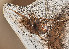  ( - BIOUG73611-A08)  @11 [ ] CC0 (2023) Unspecified Unspecified
