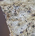  ( - BIOUG73611-E06)  @11 [ ] CC0 (2023) Unspecified Unspecified