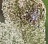  ( - BIOUG39666-G07)  @11 [ ] CC0 (2021) Unspecified Unspecified