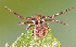  ( - BIOUG50817-D08)  @11 [ ] CC0 (2021) Unspecified Unspecified