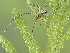  ( - BIOUG55208-A01)  @11 [ ] CC0 (2022) Unspecified Unspecified