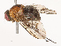  ( - CBG-B00496-G05)  @11 [ ] CreativeCommons - Attribution Share - Alike (2025) CBG Photography Group Centre for Biodiversity Genomics