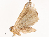  ( - CBG-B00488-G11)  @11 [ ] CreativeCommons - Attribution Share - Alike (2025) CBG Photography Group Centre for Biodiversity Genomics