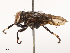  ( - CBG-B00493-G11)  @11 [ ] CreativeCommons - Attribution Share - Alike (2025) CBG Photography Group Centre for Biodiversity Genomics