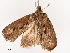  ( - CBG-B00500-A02)  @11 [ ] CreativeCommons - Attribution Share - Alike (2025) CBG Photography Group Centre for Biodiversity Genomics