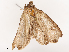  ( - CBG-B00500-A08)  @11 [ ] CreativeCommons - Attribution Share - Alike (2025) CBG Photography Group Centre for Biodiversity Genomics