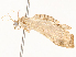  ( - CBG-B00502-E09)  @11 [ ] CreativeCommons - Attribution Share - Alike (2025) CBG Photography Group Centre for Biodiversity Genomics