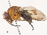  ( - CBG-B00509-G03)  @11 [ ] CreativeCommons - Attribution Share - Alike (2025) CBG Photography Group Centre for Biodiversity Genomics