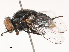  ( - CBG-B00509-G04)  @11 [ ] CreativeCommons - Attribution Share - Alike (2025) CBG Photography Group Centre for Biodiversity Genomics