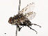  ( - CBG-B00899-B06)  @11 [ ] CreativeCommons - Attribution Share - Alike (2025) CBG Photography Group Centre for Biodiversity Genomics