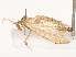  ( - CBG-B00905-G10)  @11 [ ] CreativeCommons - Attribution Share - Alike (2025) CBG Photography Group Centre for Biodiversity Genomics