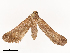  ( - CBG-B02345-B12)  @11 [ ] CreativeCommons - Attribution Share - Alike (2025) CBG Photography Group Centre for Biodiversity Genomics