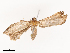  ( - CBG-B02345-C11)  @11 [ ] CreativeCommons - Attribution Share - Alike (2025) CBG Photography Group Centre for Biodiversity Genomics