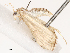  ( - CBG-B02345-H08)  @11 [ ] CreativeCommons - Attribution Share - Alike (2025) CBG Photography Group Centre for Biodiversity Genomics