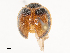 ( - CBG-B02477-C03)  @11 [ ] CreativeCommons - Attribution Share - Alike (2025) CBG Photography Group Centre for Biodiversity Genomics